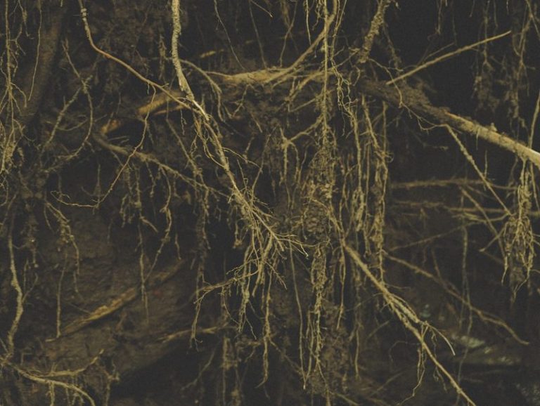 The Body Doesn’t Lie